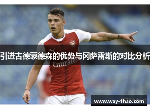 引进古德蒙德森的优势与冈萨雷斯的对比分析