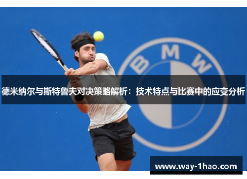德米纳尔与斯特鲁夫对决策略解析：技术特点与比赛中的应变分析