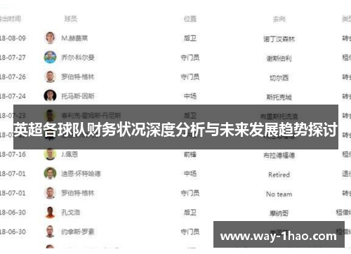 英超各球队财务状况深度分析与未来发展趋势探讨