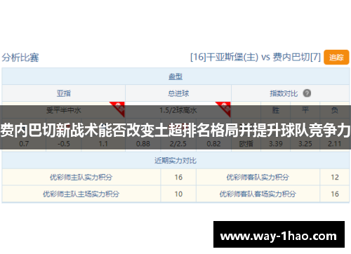 费内巴切新战术能否改变土超排名格局并提升球队竞争力